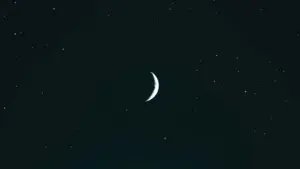24 Temmuz Aslan yeni ayı burçları nasıl etkileyecek?