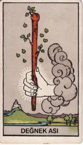 card-23