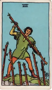 card-15