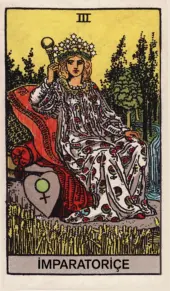 card-14