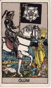 card-20