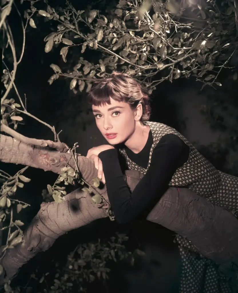 Audrey Hepburn’ün güzellik felsefesi