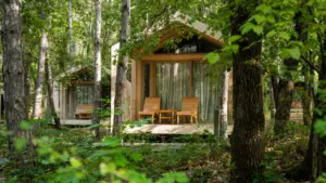 Baharın yenileyici enerjisi Longosphere’de hayat buluyor