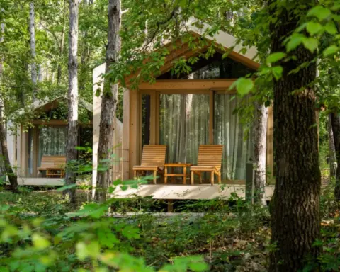 Baharın yenileyici enerjisi Longosphere’de hayat buluyor