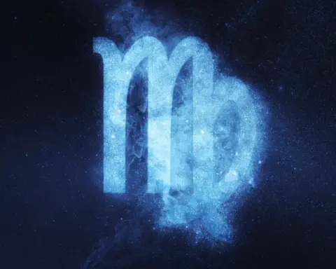 Başak burcunun tüm özellikleri 