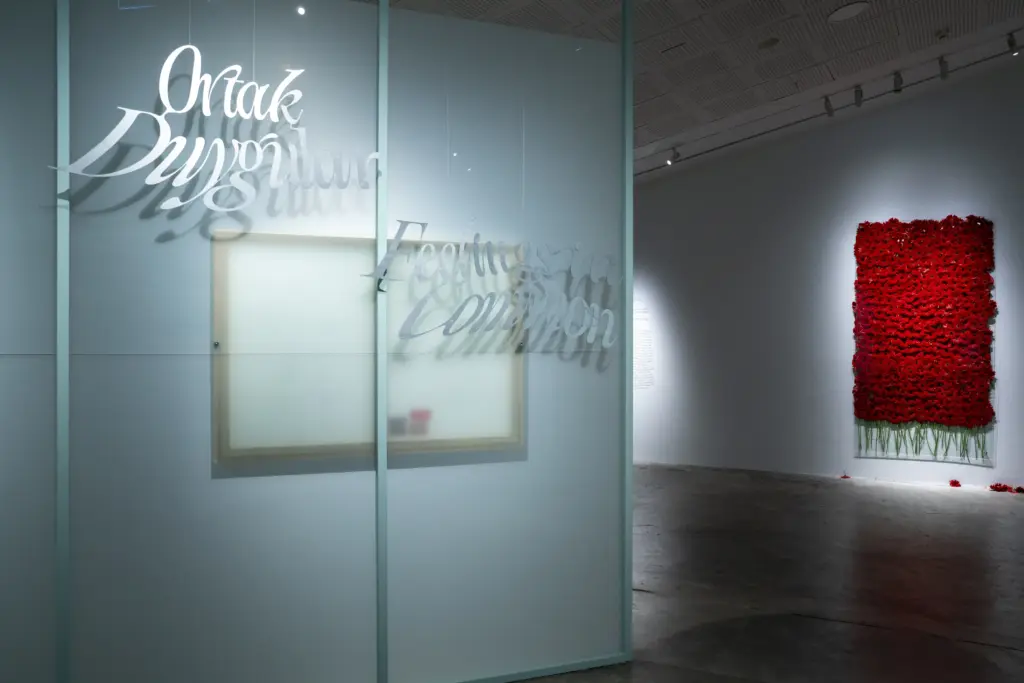 küratör olmak, Ortak Duygular