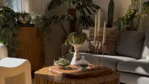 Biyofilik tasarım: Doğayı evinize davet edin