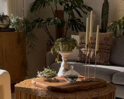 Biyofilik tasarım doğayı evinize davet edin