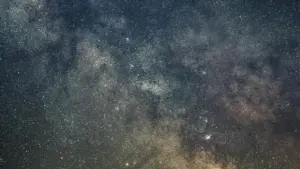 Boğa burcunun en belirgin 5 özelliği