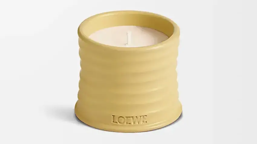 Loewe Honeysuckle mum