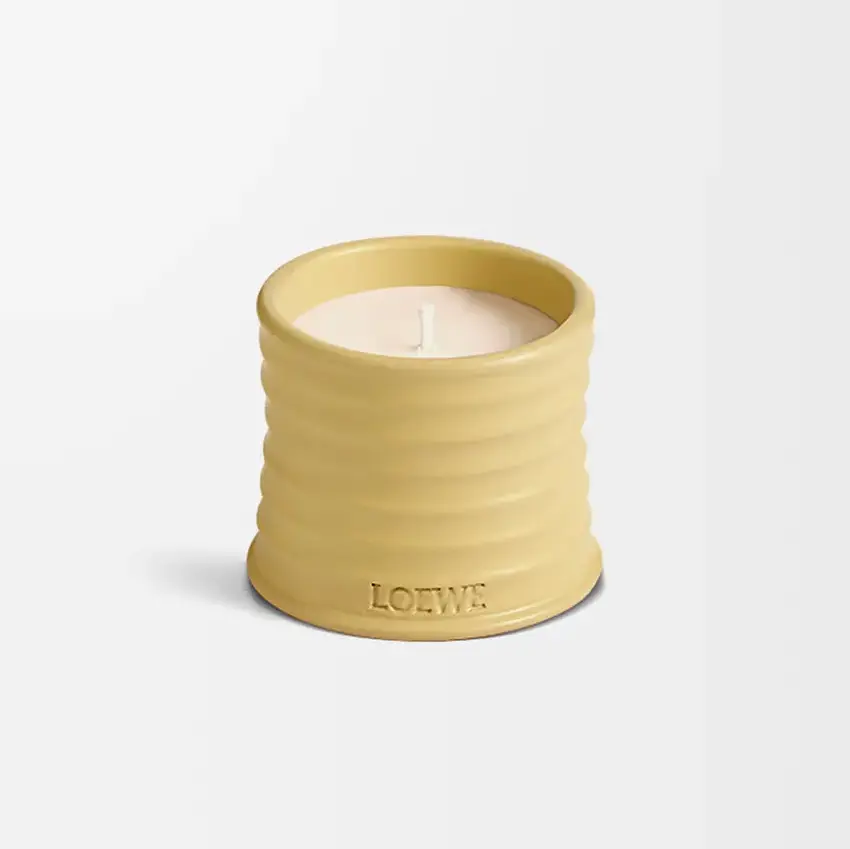 Loewe Honeysuckle mum