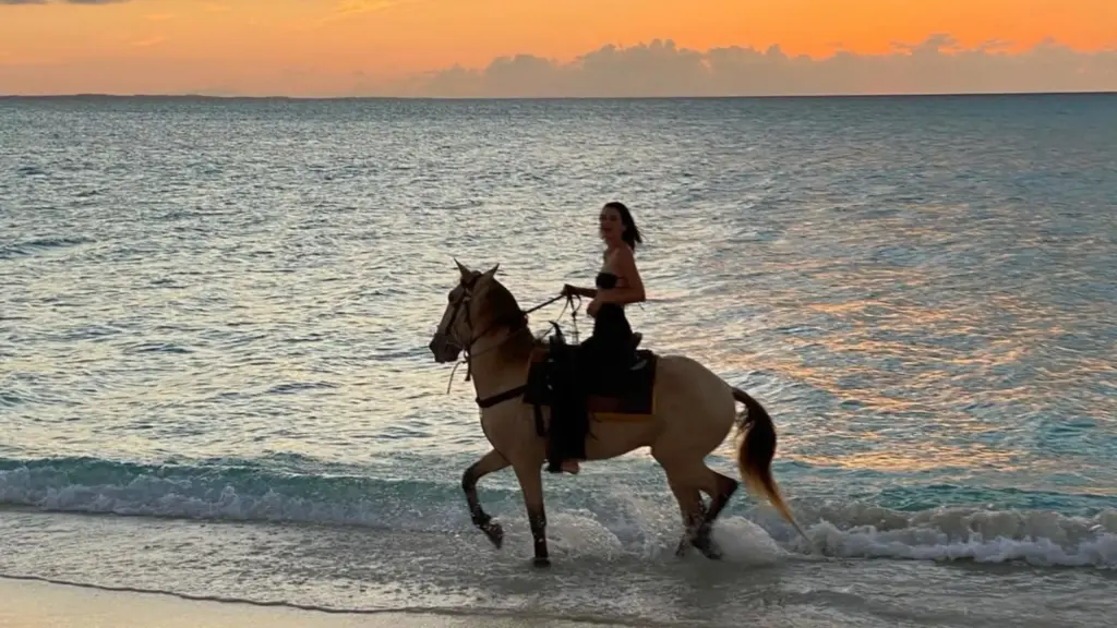 Çin astrolojisine göre 2026: Ateş Atı Yılı nedir?