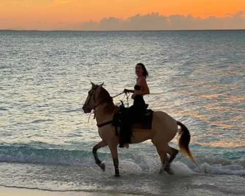 Çin astrolojisine göre 2026: Ateş Atı Yılı nedir?