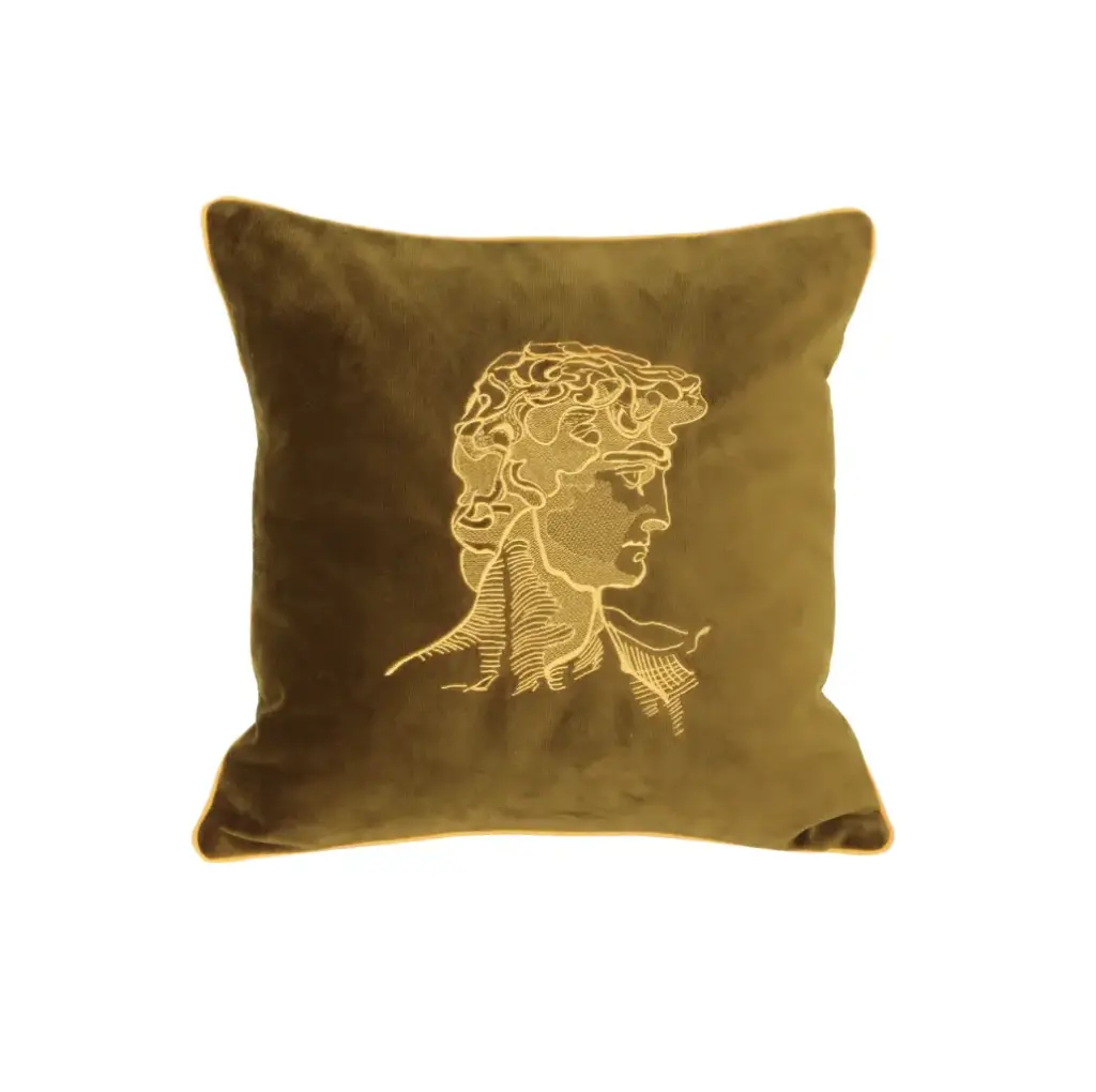 Haral design kadife yastık