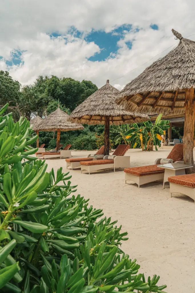 Guess Island