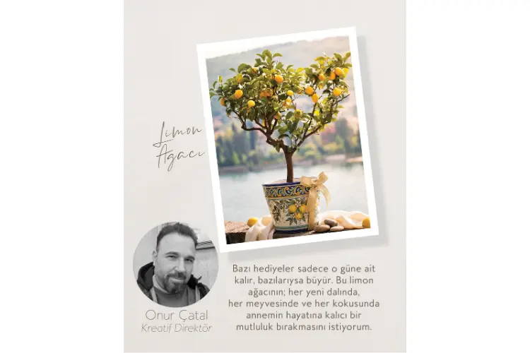 Onur Çatal Kreatif Direktör