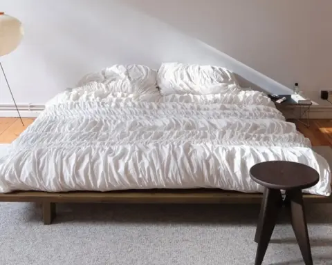 Japandi: İskandinav sadeliği ile Japon dinginliğinin buluşması