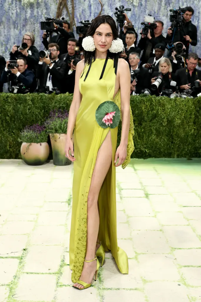 Alexa Chung, Dior