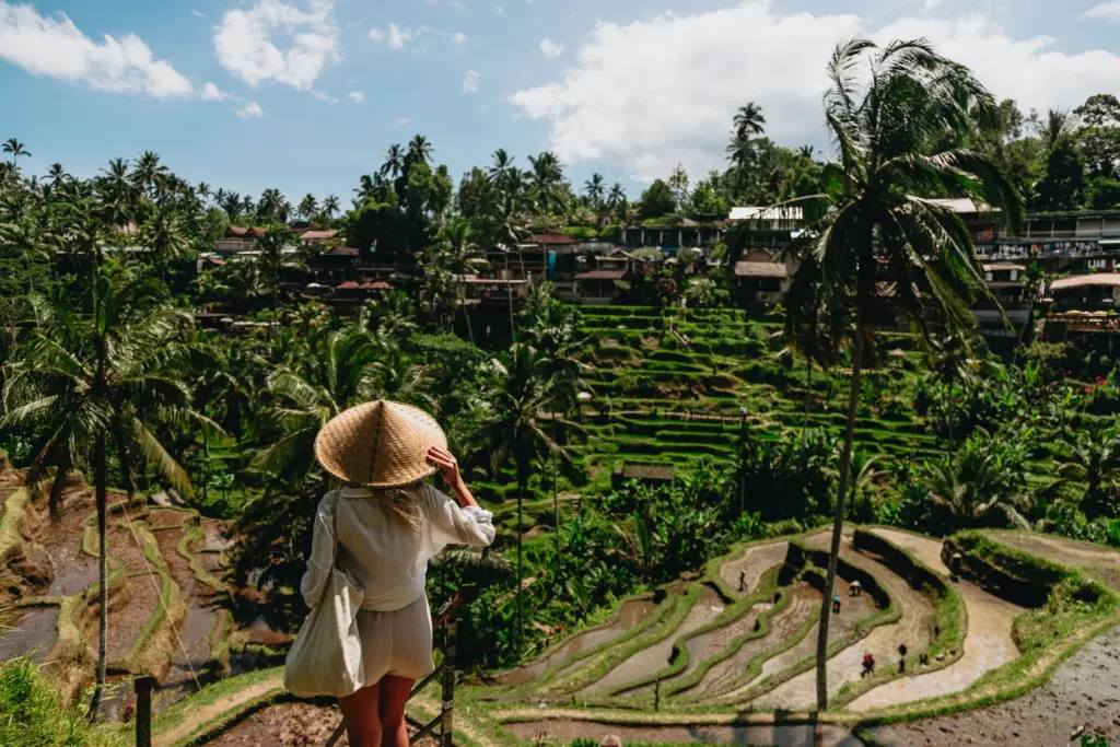 Bali Ubud’daki pirinç tarlaları