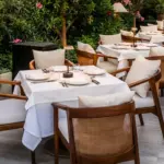 bodrum balıkçılar