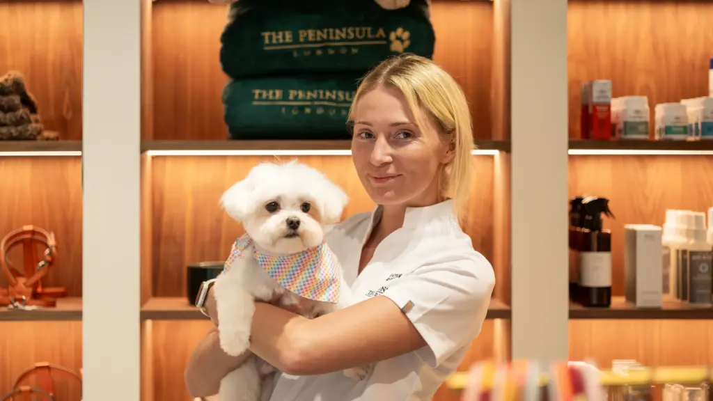 The Peninsula London, Love My Human ile sınırlı süreli bir köpek bakım salonu için güçlerini birleştiriyor