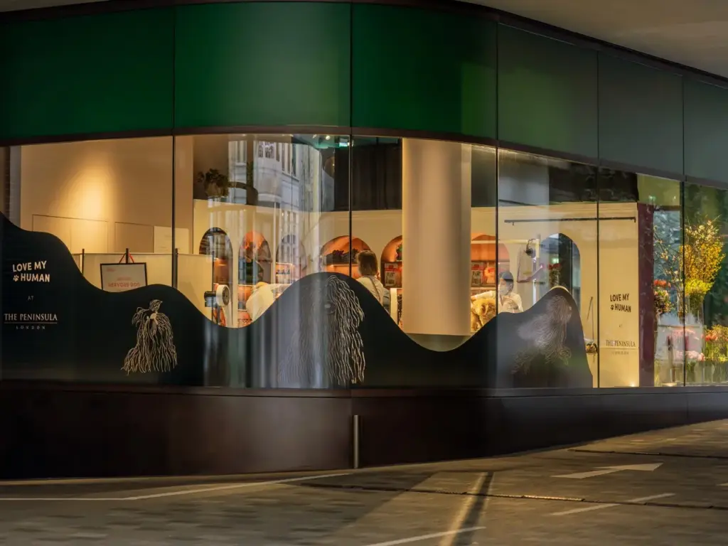 Köpek bakım alanı