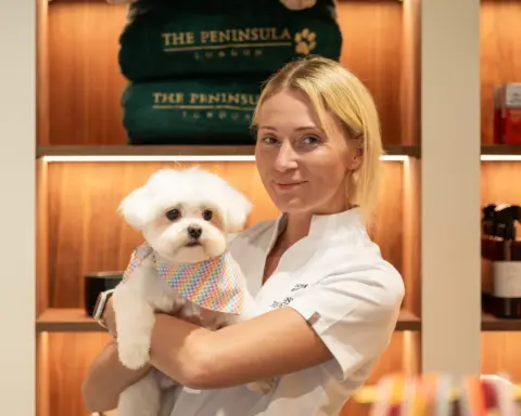 The Peninsula London, Love My Human ile sınırlı süreli bir köpek bakım salonu için güçlerini birleştiriyor