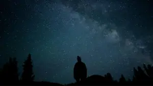 Yengeç erkeğiyle ilişki hakkında bilmeniz gereken her şey