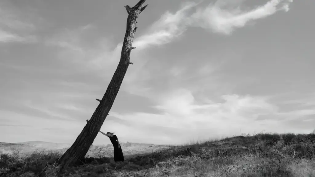 Yves Rocher Vakfı ve Murathan Özbek'ten "Yanıbaşında": Ağaçlarla Kurulan bir dostluk hikayesi