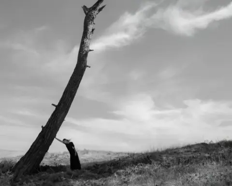 Yves Rocher Vakfı ve Murathan Özbek'ten "Yanıbaşında": Ağaçlarla Kurulan bir dostluk hikayesi